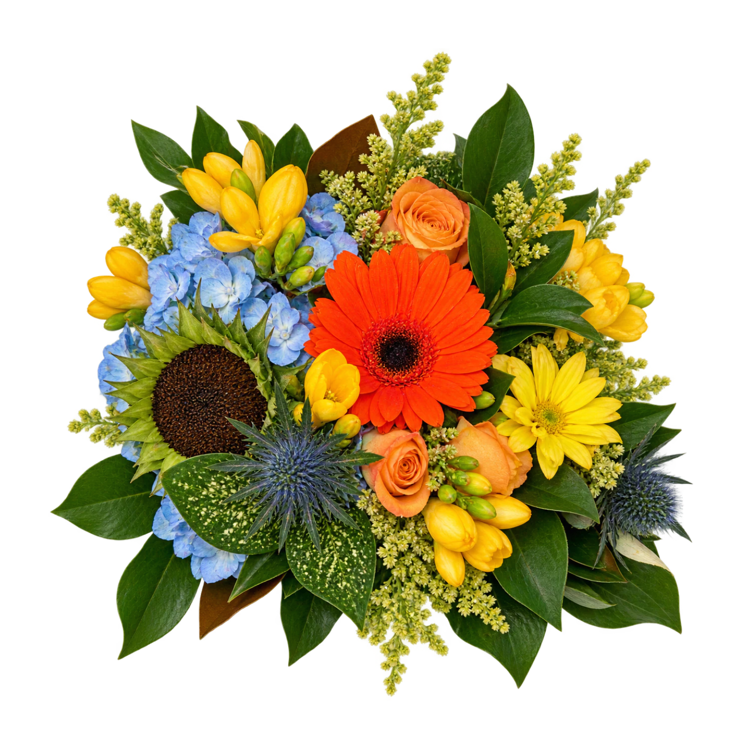 Orange gerbera, yellow flowers, blue hydrangea and greenery arranged by Graham & Lane Florists